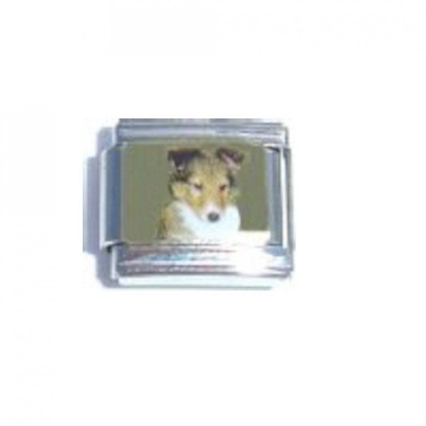 Collie sheltie dog (b) - enamel 9mm Italian charm - Click Image to Close