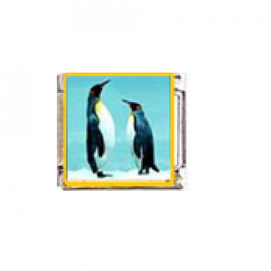 Penguin (k) - enamel 9mm Italian charm - Click Image to Close