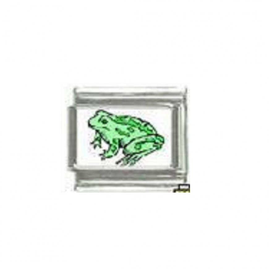Frog (d) - photo 9mm Italian charm - Click Image to Close