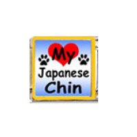 Love my Japanese Chin - dog - enamel 9mm Italian charm
