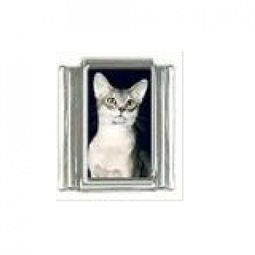 Cat - tabby cat (n) photo 9mm Italian charm - Click Image to Close
