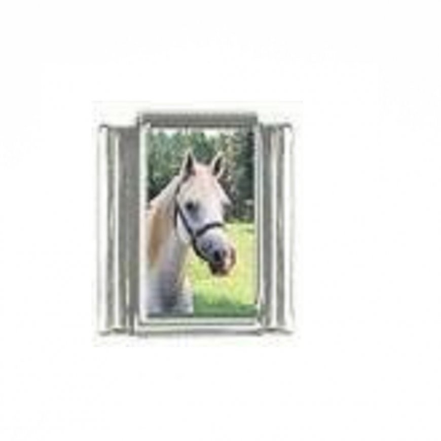 Horse (d) - photo 9mm Italian charm - Click Image to Close