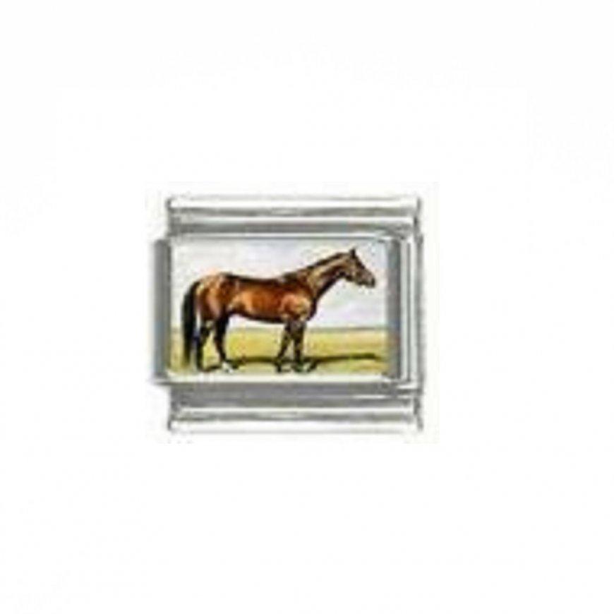 Horse (ad) - photo 9mm Italian charm - Click Image to Close
