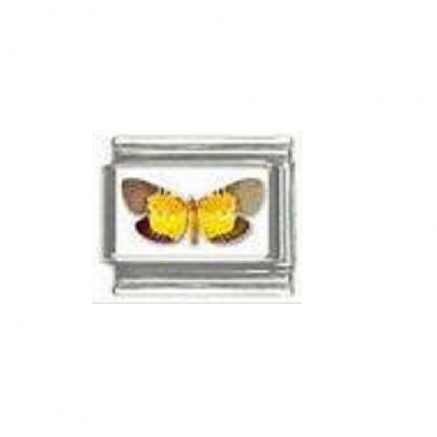 Butterfly photo a2 - 9mm Italian charm - Click Image to Close