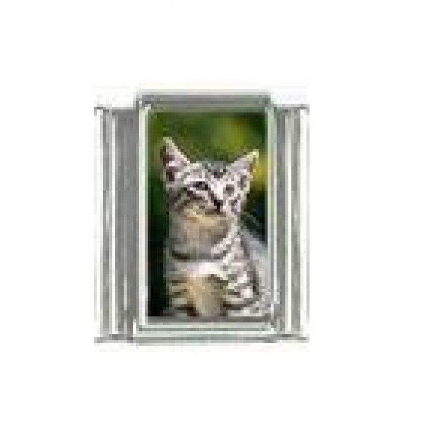 Cat - tabby cat (g) photo 9mm Italian charm - Click Image to Close