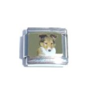 Collie sheltie dog (b) - enamel 9mm Italian charm