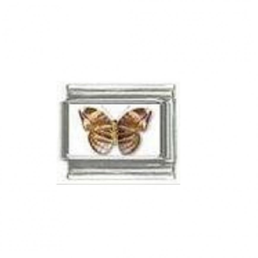 Butterfly photo a13 - 9mm Italian charm - Click Image to Close