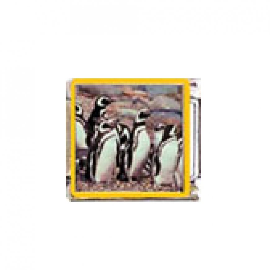Penguin (ab) - enamel 9mm Italian charm - Click Image to Close