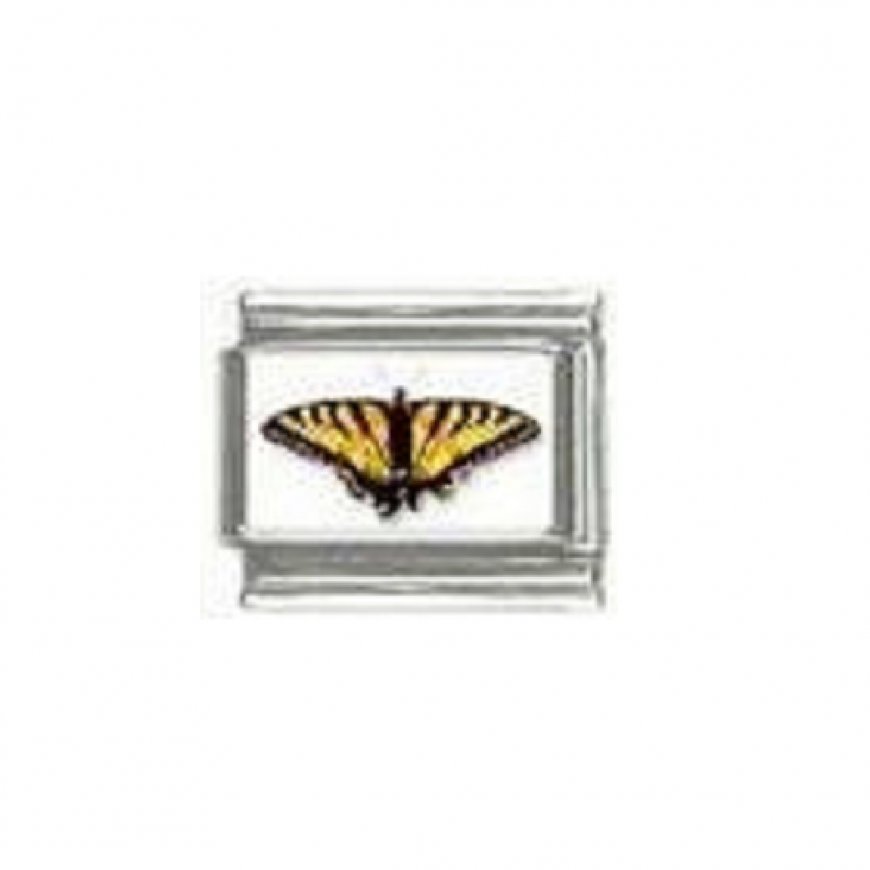 Butterfly photo a11 - 9mm Italian charm - Click Image to Close