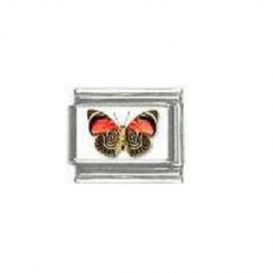 Butterfly photo a24 - 9mm Italian charm - Click Image to Close
