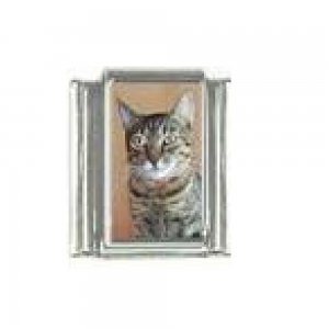 Cat - tabby cat (j) photo 9mm Italian charm