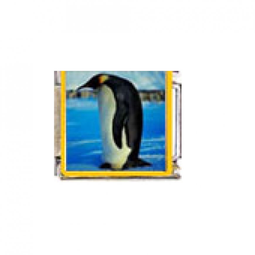 Penguin (ac) - enamel 9mm Italian charm - Click Image to Close
