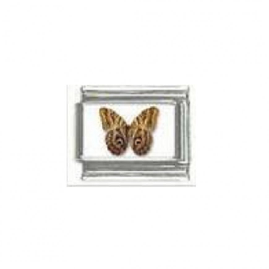 Butterfly photo a26 - 9mm Italian charm - Click Image to Close