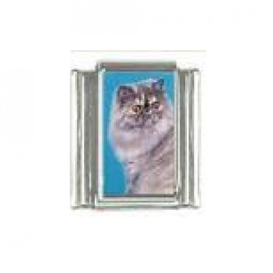 Cat - Grey cat (c) photo 9mm Italian charm - Click Image to Close