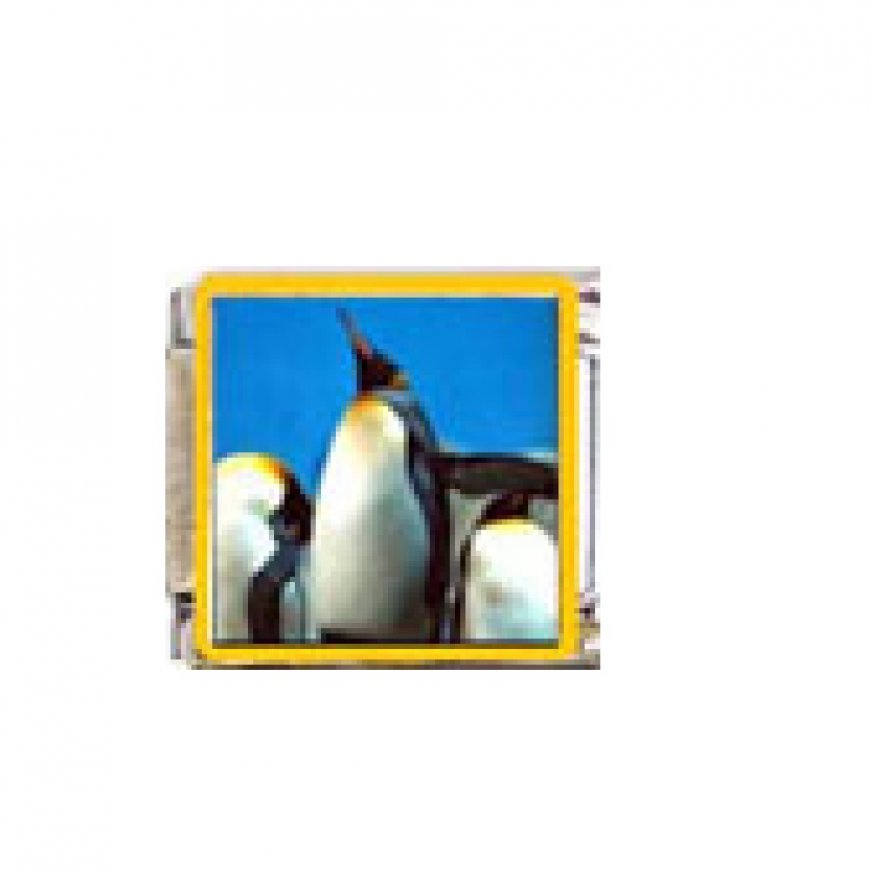Penguin (ae) - enamel 9mm Italian charm - Click Image to Close