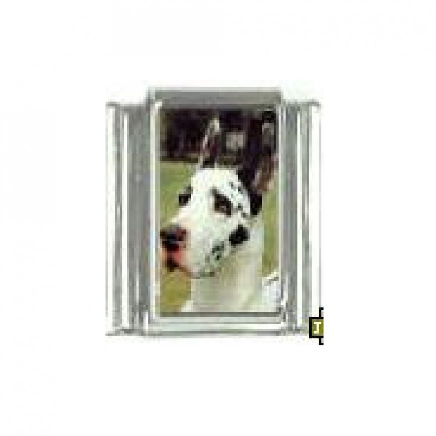 Dog charm - Great Dane 4 - 9mm Italian charm - Click Image to Close