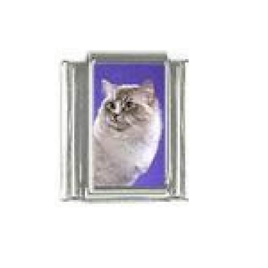 Cat - Grey cat (b) photo 9mm Italian charm - Click Image to Close