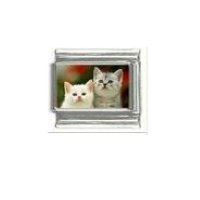 Cat - White and grey kittens photo 9mm Italian charm