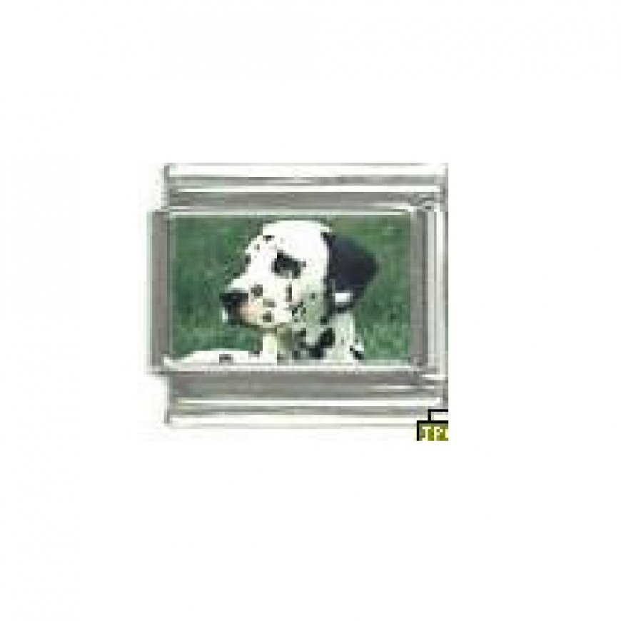 Dog charm - Dalmation 2 - 9mm Italian charm - Click Image to Close