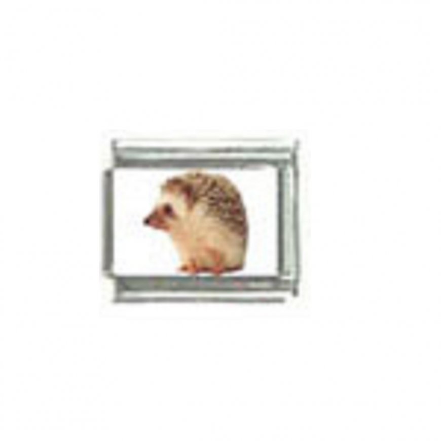Hedgehog (p) photo - 9mm Italian charm - Click Image to Close