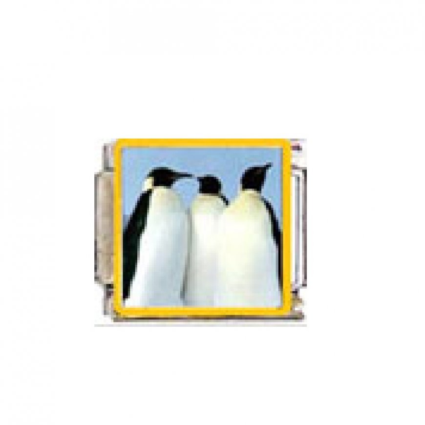 Penguin (s) - enamel 9mm Italian charm - Click Image to Close