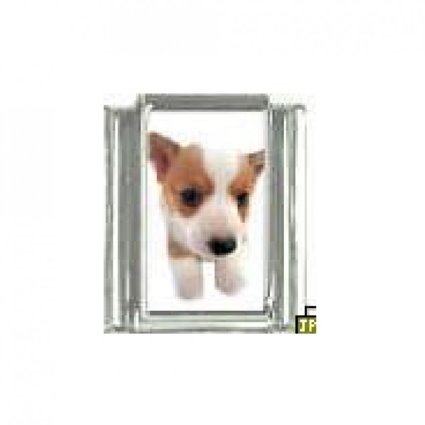 Dog charm - Corgi 3 - 9mm Italian charm - Click Image to Close
