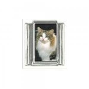 Cat - Tabby and white cat (a) photo 9mm Italian charm