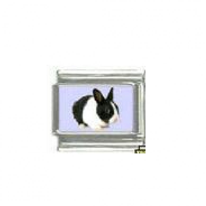 Rabbit - black and white - photo 9mm Italian charm - Click Image to Close