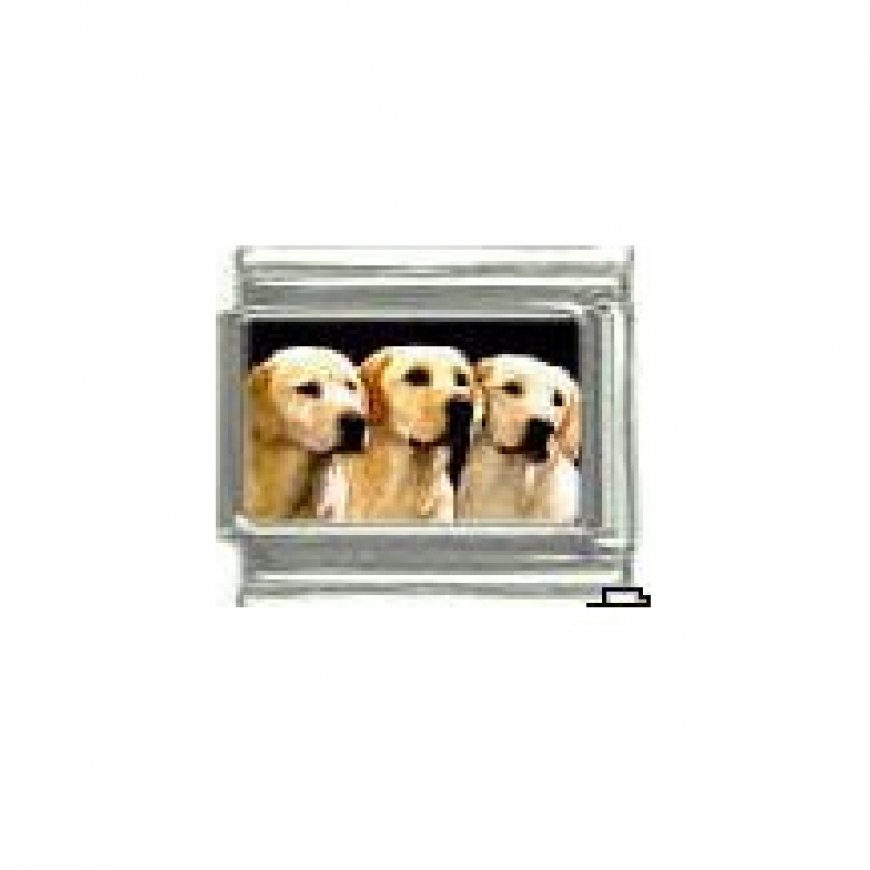 Dog charm - Labrador 4 golden - 9mm Italian charm - Click Image to Close