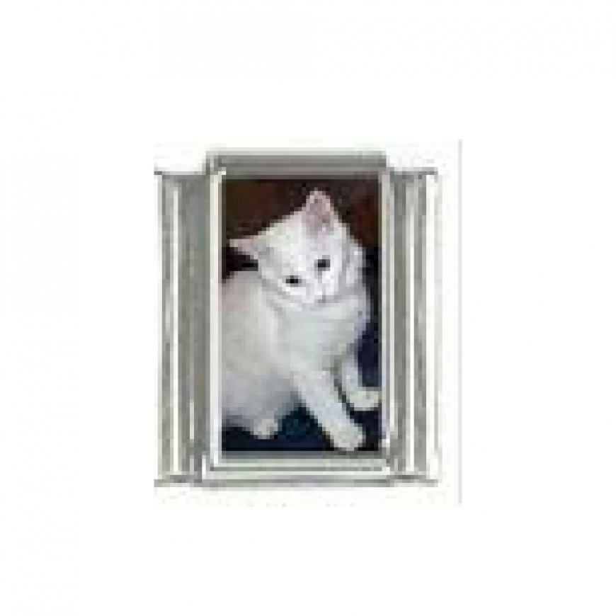 Cat - White cat (c) photo 9mm Italian charm - Click Image to Close