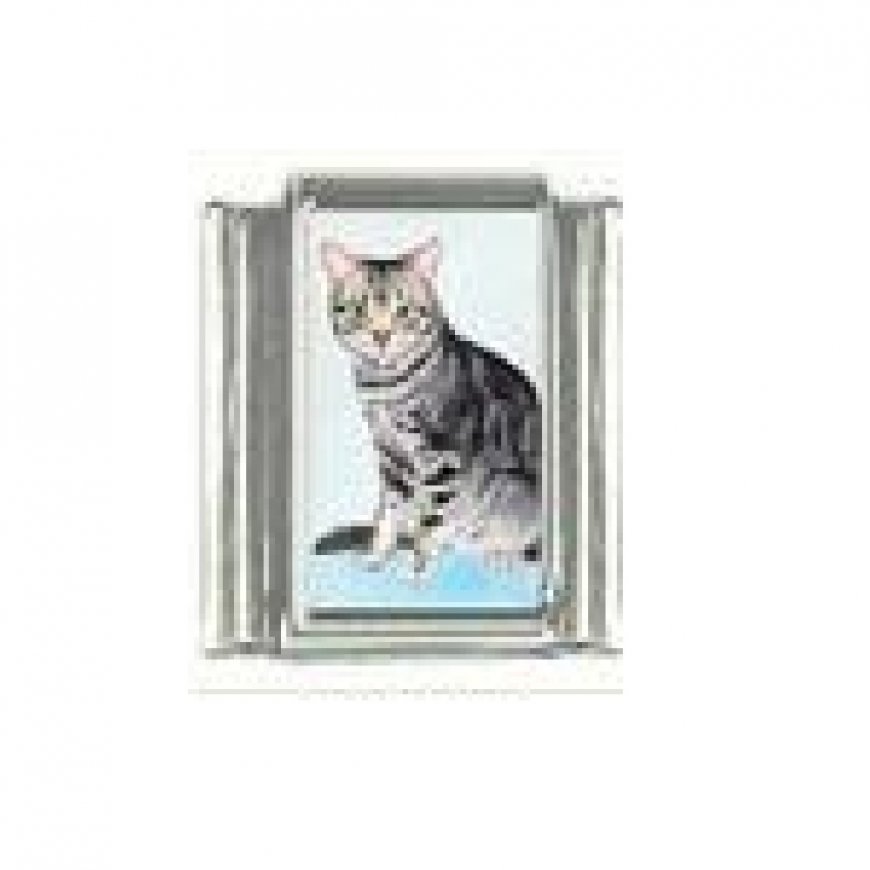 Cat - grey tabby cat (d) photo 9mm Italian charm - Click Image to Close