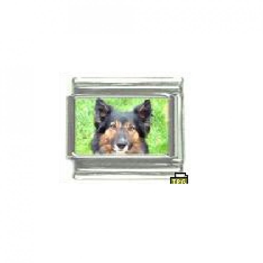Dog charm - Border Collie 3 - 9mm Italian charm - Click Image to Close