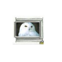 Snowy Owl - photo 9mm Italian charm