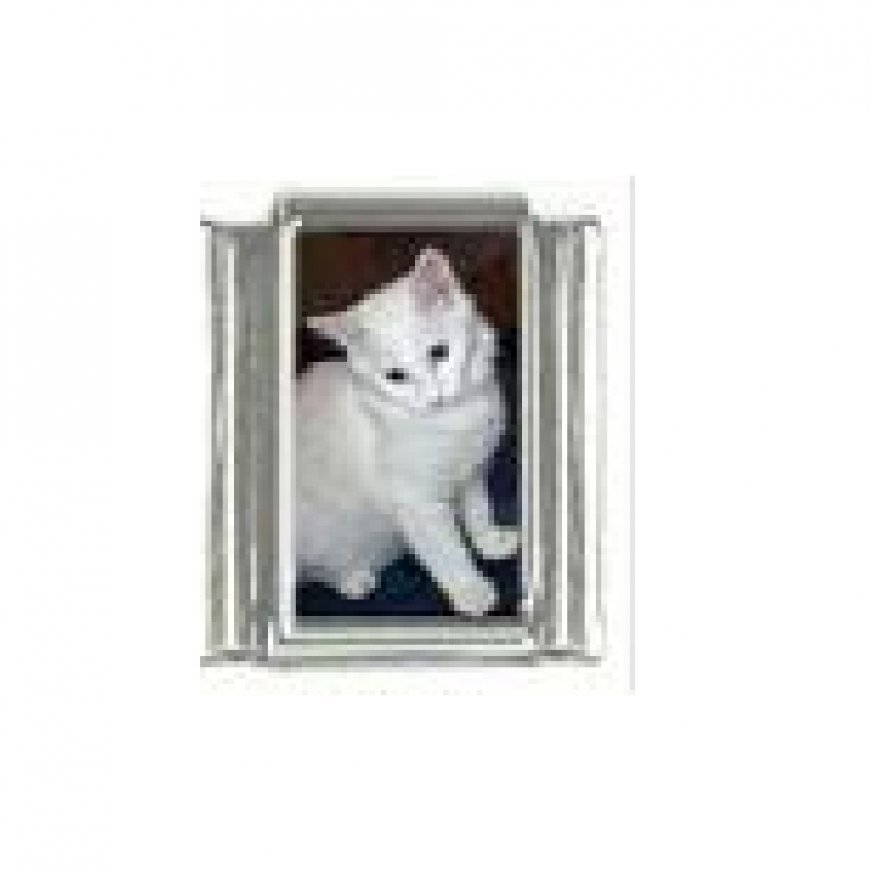 Cat - tabby cat (b) enamel 9mm Italian charm - Click Image to Close