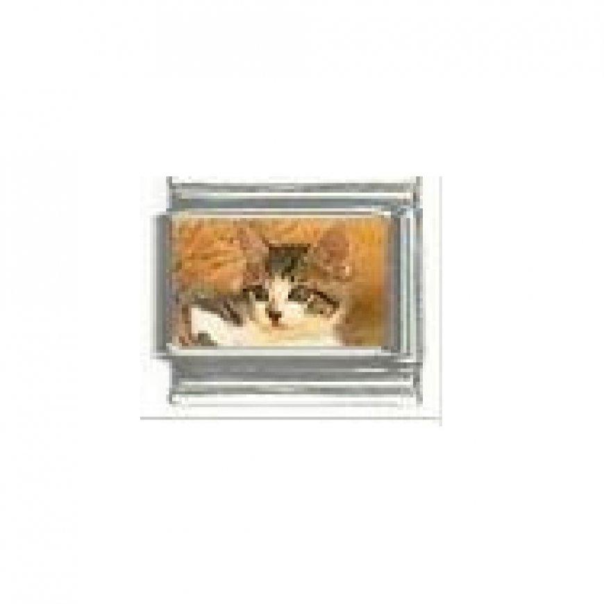 Cat - Tabby and white cat (b) photo 9mm Italian charm - Click Image to Close