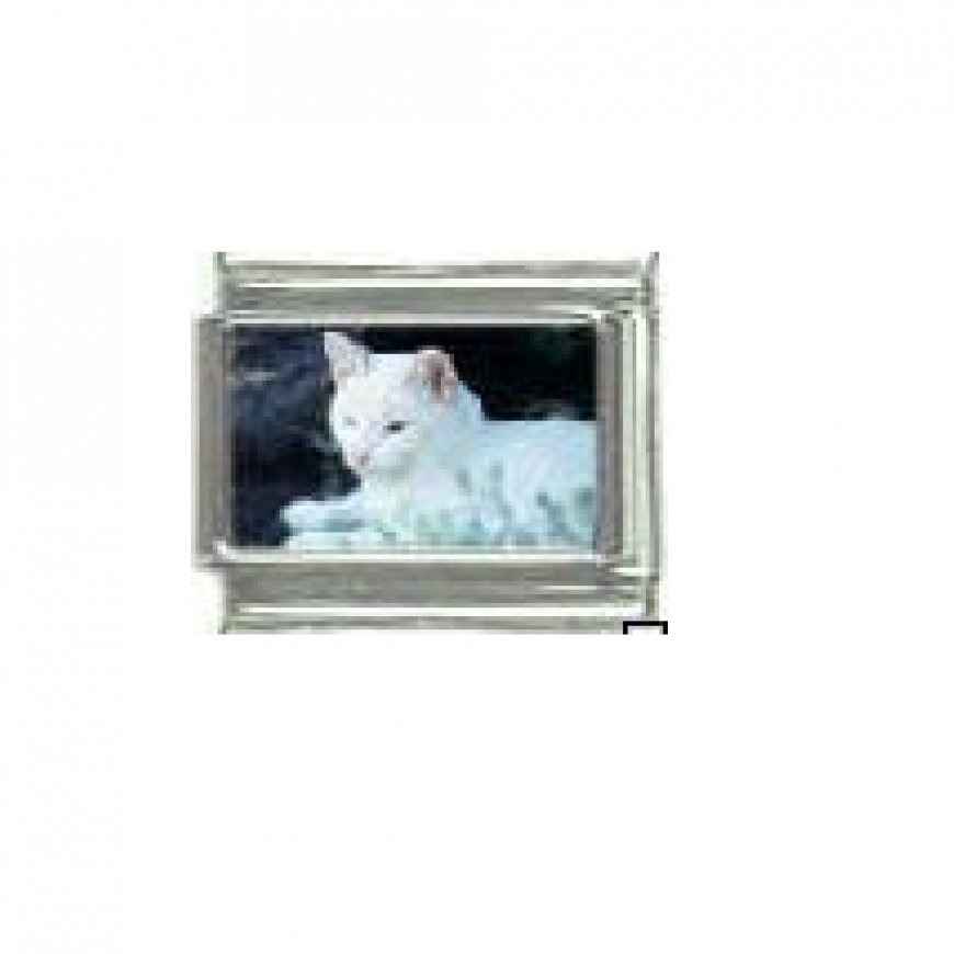 Cat - White (a) photo 9mm Italian charm - Click Image to Close
