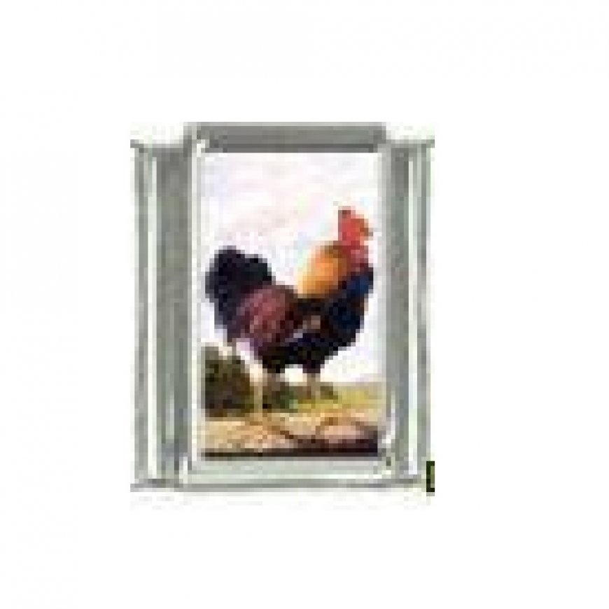 Rooster - photo 9mm Italian charm - Click Image to Close