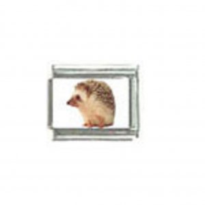 Hedgehog (p) photo - 9mm Italian charm