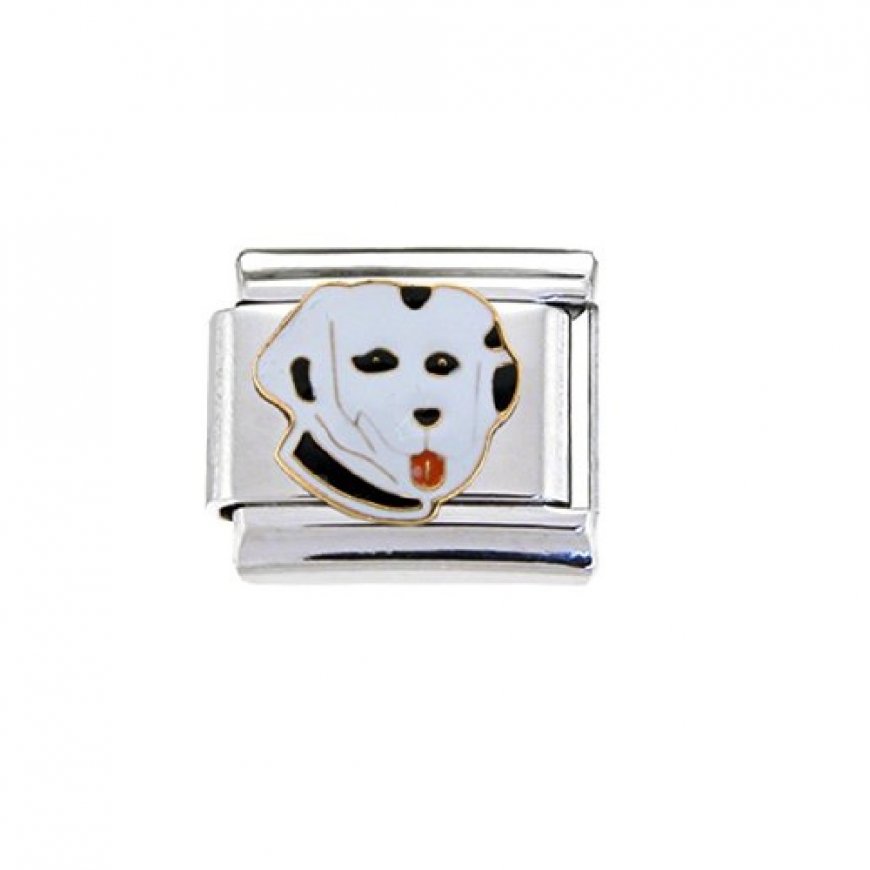 Dalmation dog - enamel 9mm Italian charm - Click Image to Close