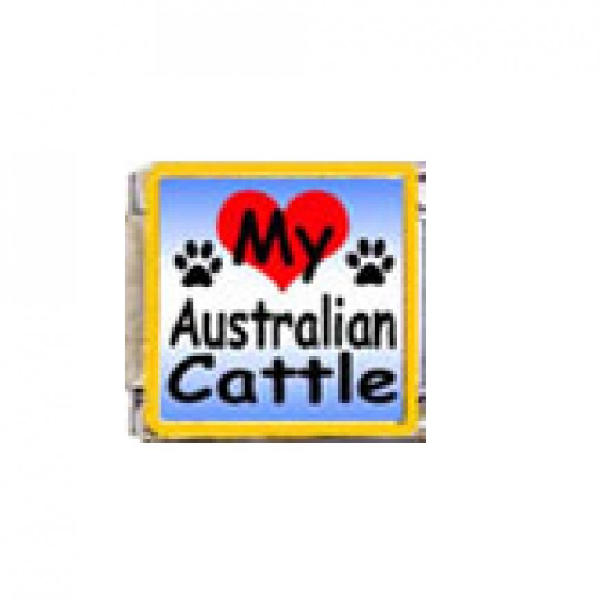 Love my Australian Cattle - dog - 9mm enamel Italian charm - Click Image to Close
