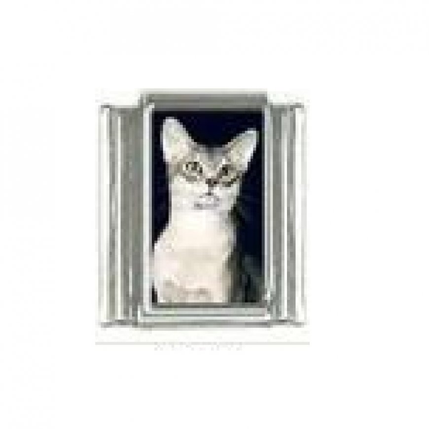 Cat - tabby cat (l) photo 9mm Italian charm - Click Image to Close