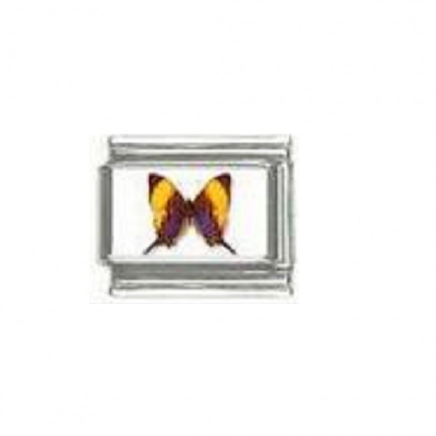 Butterfly photo a7 - 9mm Italian charm - Click Image to Close