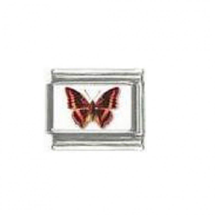 Butterfly photo a29 - 9mm Italian charm - Click Image to Close