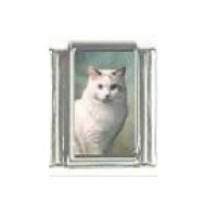 Cat - White cat (b) photo 9mm Italian charm