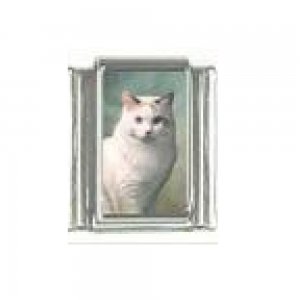Cat - White cat (b) photo 9mm Italian charm