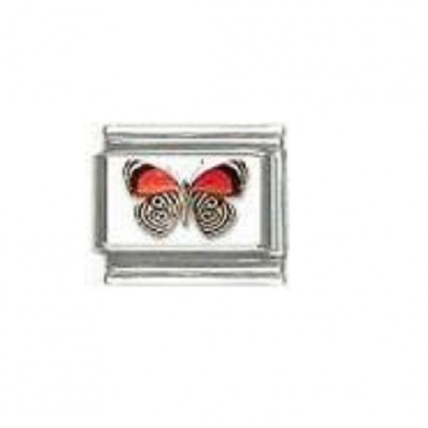Butterfly photo a47 - 9mm Italian charm - Click Image to Close