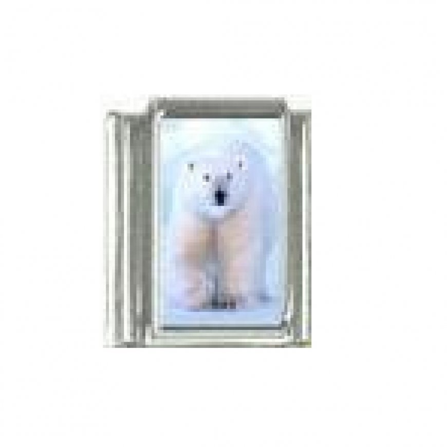 Polar bear (a) - photo 9mm Italian charm - Click Image to Close