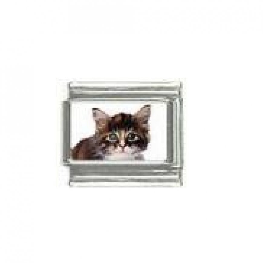 Cat - tabby cat (c) photo 9mm Italian charm - Click Image to Close