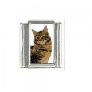 Cat - tabby cat (m) photo 9mm Italian charm