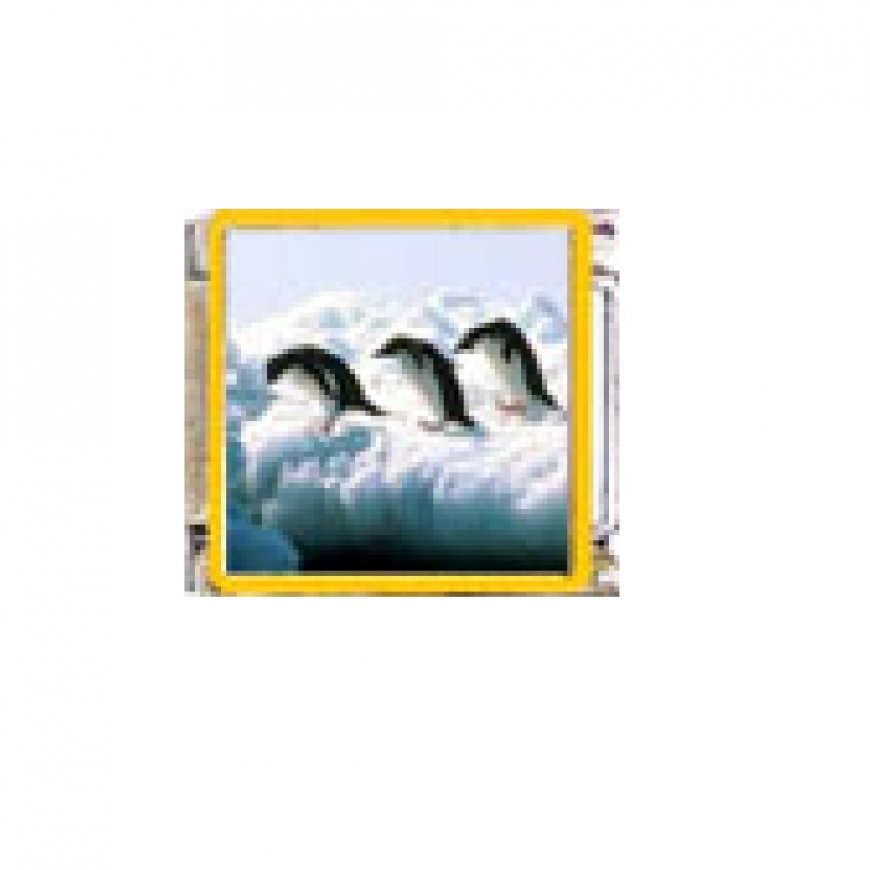Penguin (ad) - enamel 9mm Italian charm - Click Image to Close